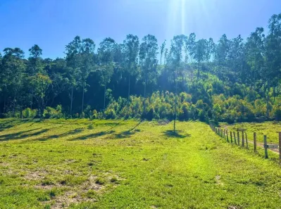 Fazenda / Sítio / Chácara com 4 Quartos à venda, 1000m² no , Alumínio