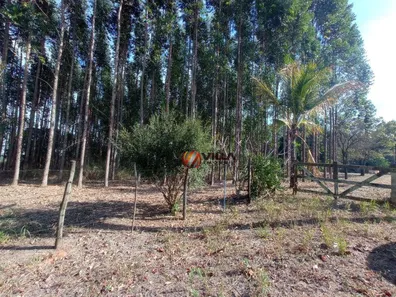 Terreno / Lote / Condomínio à venda, 46000m² no Jardim Residencial Campo Novo, Limeira