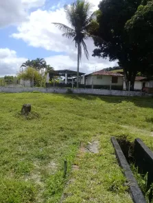 Fazenda / Sítio / Chácara à venda, 950000m² no , Joaquim Gomes