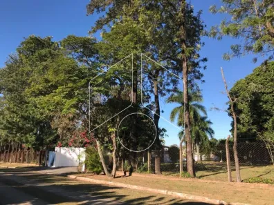 Fazenda / Sítio / Chácara com 3 Quartos para alugar, 12m² no Sítios de Recreio Santa Gertrudes, Marília