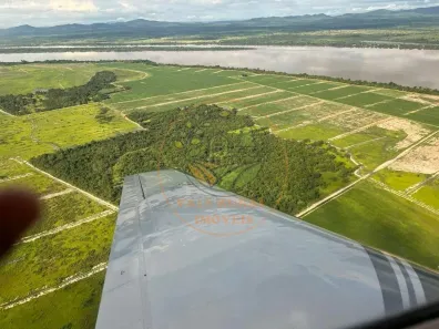 Fazenda / Sítio / Chácara com 6 Quartos à venda, 834m² no CENTRO, Lagoa da Confusão