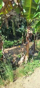 Terreno / Lote / Condomínio à venda, 49839m² no Tribobó, São Gonçalo