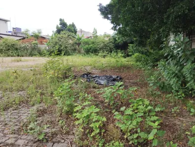 Terreno / Lote / Condomínio à venda, 3000m² no Vila Paulista, Cubatão