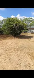 Fazenda / Sítio / Chácara com 4 Quartos à venda, 150000m² no , Feira Nova