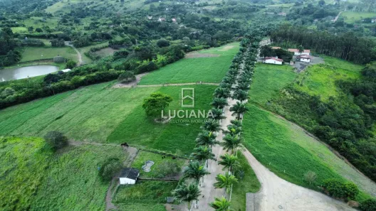 Fazenda / Sítio / Chácara com 3 Quartos à venda, 350000m² no , Chã Grande