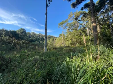 Fazenda / Sítio / Chácara à venda, 5500m² no Pacotuba, Almirante Tamandaré