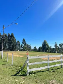 Fazenda / Sítio / Chácara com 6 Quartos à venda, 24200m² no Pacotuba, Almirante Tamandaré