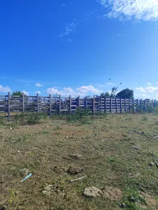 Fazenda / Sítio / Chácara com 4 Quartos à venda, 720000m² no , Brejinho