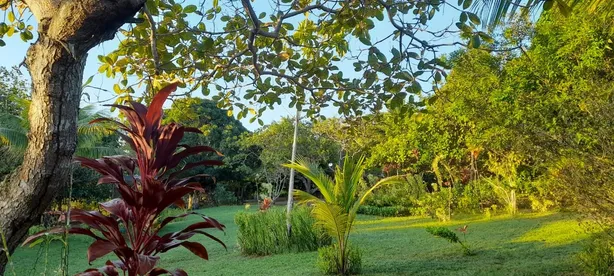 Casa com 3 Quartos à venda, 5700m² no Barra do Pojuca (Monte Gordo), Camaçari