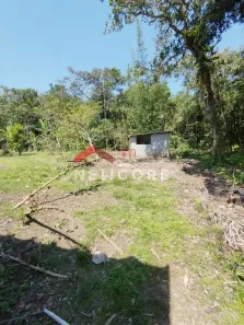 Fazenda / Sítio / Chácara à venda, 1250m² no Jardim Aguapeu, Itanhaém