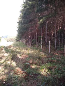 Fazenda / Sítio / Chácara à venda, 359370m² no , Rio Branco do Sul