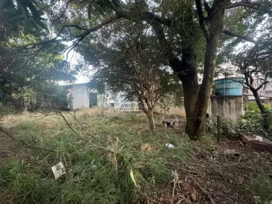Loja / Salão / Ponto Comercial com 4 Quartos à venda, 300m² no Centro, Betim
