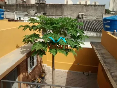 Casa com 8 Quartos à venda, 203m² no Rio Pequeno, São Paulo