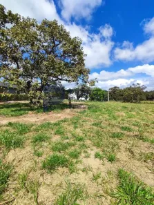 Terreno / Lote / Condomínio à venda, 800m² no , Fortuna de Minas