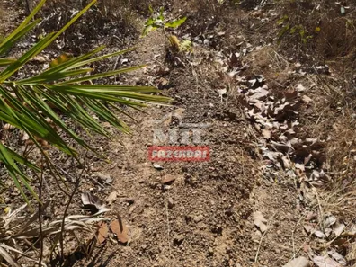 Fazenda / Sítio / Chácara à venda, 1050m² no , Ponte Alta do Tocantins