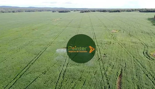 Fazenda / Sítio / Chácara à venda, 7000000m² no Parque Residencial Nova Fronteira, Gurupi