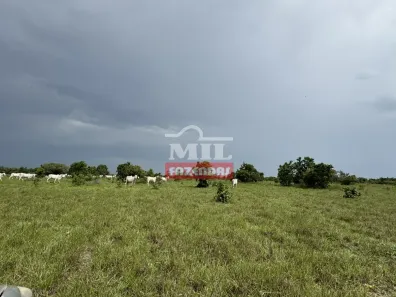 Fazenda / Sítio / Chácara à venda, 500m² no , Formoso do Araguaia