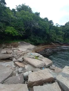 Terreno / Lote / Condomínio à venda, 337500m² no Ilha Grande, Angra dos Reis