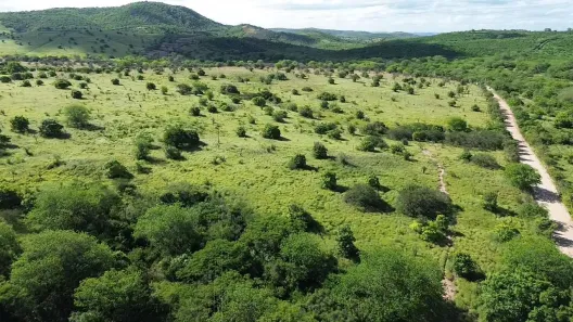 Fazenda / Sítio / Chácara à venda, 2180000m² no Área Rural de Gravatá, Gravatá