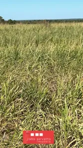 Fazenda / Sítio / Chácara à venda, 1016400m² no , Santa Rita do Tocantins