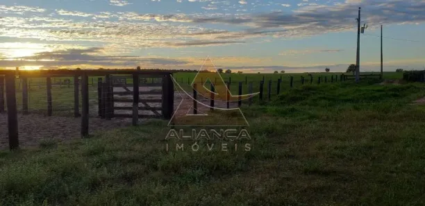 Fazenda / Sítio / Chácara com 6 Quartos à venda, 95287500m² no Guaraí, Guaraí
