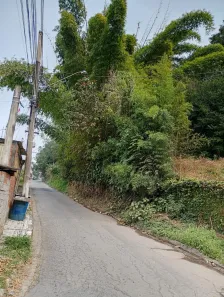 Fazenda / Sítio / Chácara com 4 Quartos à venda, 456m² no Vila Rosemeire, Franco da Rocha