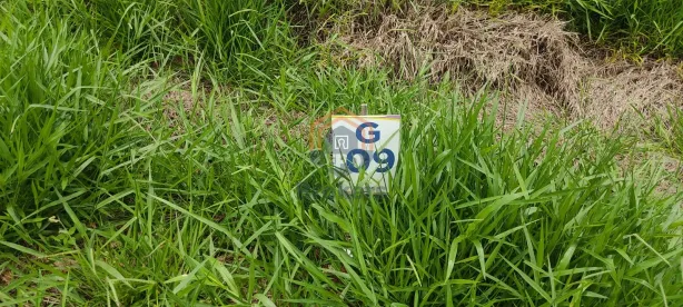 Terreno / Lote / Condomínio à venda, 250m² no José de Lima, Jarinu