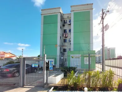 Apartamento com 2 Quartos para alugar, 50m² no Fragata, Pelotas