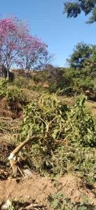 Terreno / Lote / Condomínio à venda, 1841m² no Parque Sao Jorge, Santa Branca