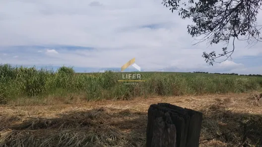 Fazenda / Sítio / Chácara com 1 Quarto à venda, 1500m² no , Capivari