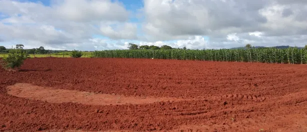 Fazenda / Sítio / Chácara à venda, 2000m² no Área Rural, Goianira