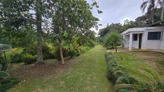 Fazenda / Sítio / Chácara com 4 Quartos para alugar, 200m² no Chácaras Ceres, Suzano