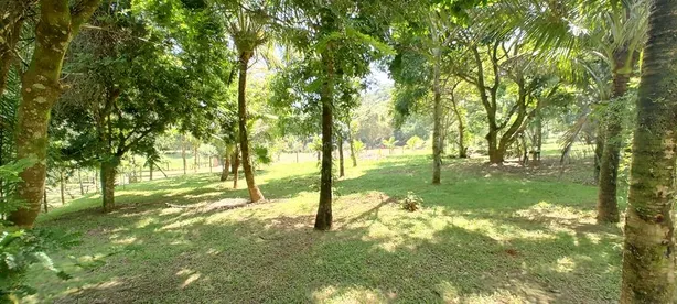 Fazenda / Sítio / Chácara com 2 Quartos à venda, 22000m² no Nossa Senhora do Amparo, Barra Mansa