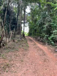 Fazenda / Sítio / Chácara com 5 Quartos à venda, 4718m² no Vale do Sol, São Joaquim de Bicas