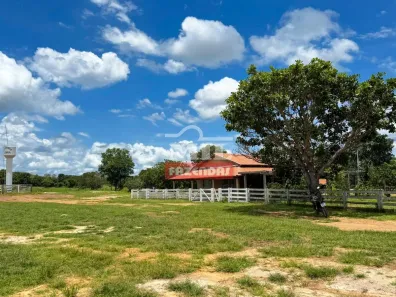 Fazenda / Sítio / Chácara à venda, 20000m² no , Paranã