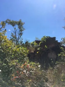Fazenda / Sítio / Chácara à venda, 15240000m² no , Ponte Alta do Tocantins