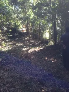 Terreno / Lote / Condomínio à venda, 1632m² no Quitandinha, Petrópolis