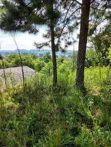 Terreno / Lote / Condomínio com 1 Quarto à venda, 2414m² no , Balsa Nova