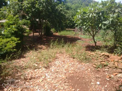 Fazenda / Sítio / Chácara com 1 Quarto à venda, 50m² no Condomínio Horizontal Marajoara, Ibiporã