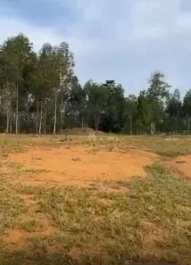 Terreno / Lote / Condomínio à venda, 5193m² no Medeiros, Balneário Piçarras