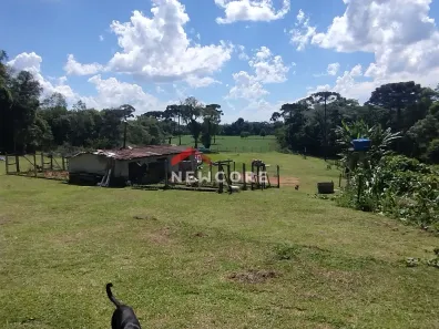Fazenda / Sítio / Chácara com 2 Quartos à venda, 120m² no Campestre da Faxina, São José dos Pinhais
