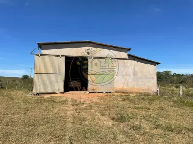 Fazenda / Sítio / Chácara com 3 Quartos à venda, 232m² no Setor Serrano, Paraíso do Tocantins