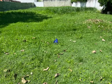 Terreno / Lote / Condomínio com 1 Quarto à venda, 500m² no Vila de Abrantes (Abrantes), Camaçari