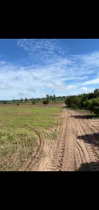 Fazenda / Sítio / Chácara à venda no , Guaraí