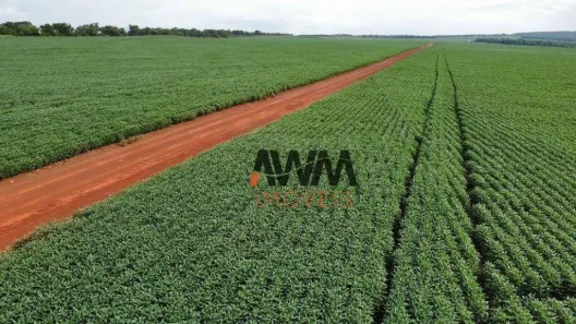 Fazenda / Sítio / Chácara à venda, 7066400m² no Centro, Paraíso do Tocantins