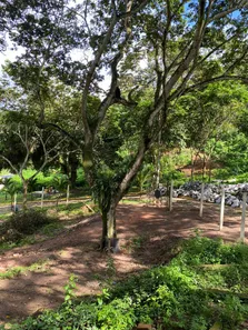 Terreno / Lote / Condomínio à venda, 300m² no , Pacoti
