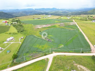 Terreno / Lote / Condomínio à venda, 20026m² no São Luiz do Purunã, Balsa Nova