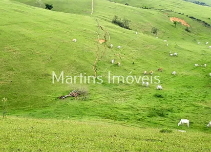 Fazenda / Sítio / Chácara com 4 Quartos à venda, 1113200m² no Centro, Cachoeiras de Macacu