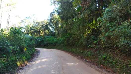Fazenda / Sítio / Chácara com 1 Quarto à venda, 20000m² no , Campo Largo