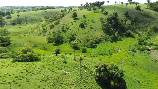 Fazenda / Sítio / Chácara à venda, 360000m² no , Sairé